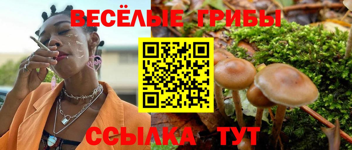 Псилоцибиновые грибы Psilocybine cubensis Нефтеюганск